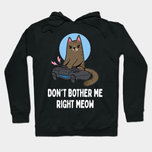 Don't Bother Me Right Meow   Funny Video Gamer & Cat Lover Hoodie